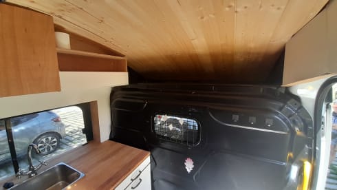 Findus  – characterful ford transit self-build (3 persons)