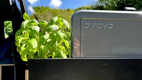 Sea Bass – VW Van with Tentbox Cargo