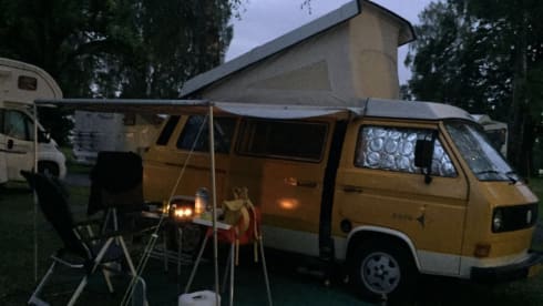 Mr. Yellow – Experience this unique VW T3 Westfalia Joker; refurbished and complete!