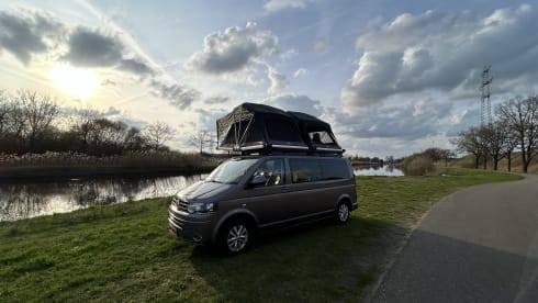 Rooftop party Van  – Happy 4 person Volkswagen party Van.