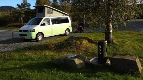 Beatle  – Our beautiful white-green VW camper