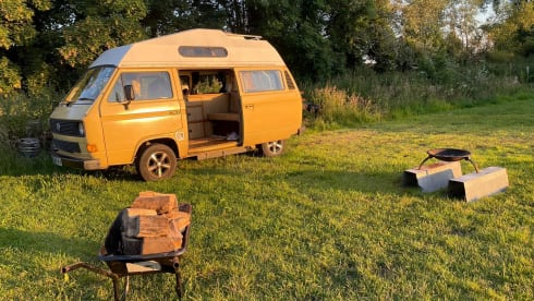 Frieda – Frieda the Automatic VW T25 Campervan