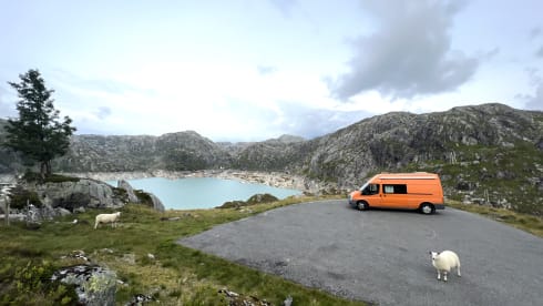 Bertha – 3 berth Ford Custom Built Campervan
