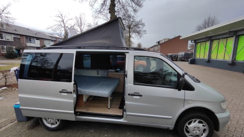 Danny de Vito – Mercedes-Benz Vito camper van 