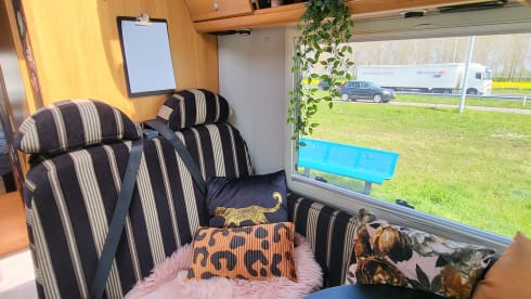 Toedeledokie  – Neat, warm Fiat integral camper, 4p 