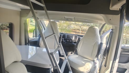 Vinny – 4-sitziger Fiat-Bus ab 2025