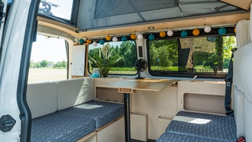 NEW Exclusive VW Bus Camper