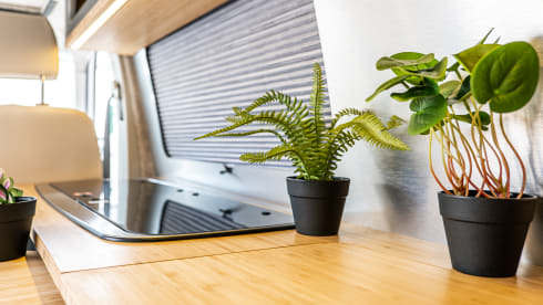 4 berth Volkswagen bus from 2012