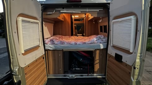 4p Fiat bus from 2018