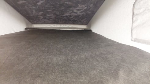 Hot Doug – Super Cool, 2020 VW Camper, Low mileage, New Interior