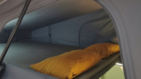 CANTERBURY  – Renault trafic 3 2022 - 4 posti - Lione