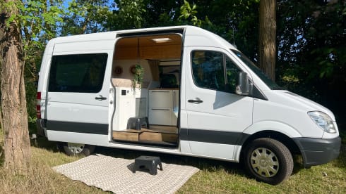 Cozy 2p Mercedes-Benz bus from 2008