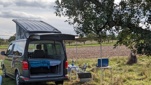 Santa Cruise – Ab geht's