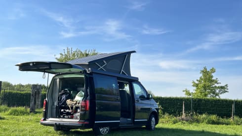 Volkswagen van from 2023