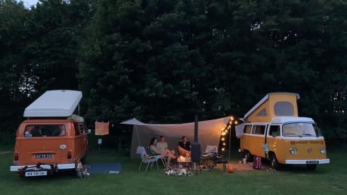 Orange  – Hip Orange retro Volkswagen T-2 Camper