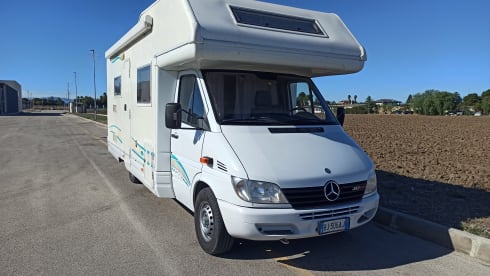 MARCO – ELNAGH DORAL MERCEDES