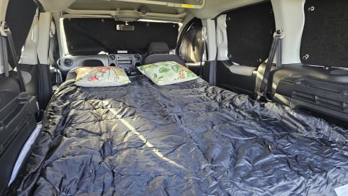 Freedom – 2 berth Peugeot other from 2026
