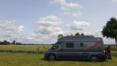 Bus Bürstner 4p à partir de 2025