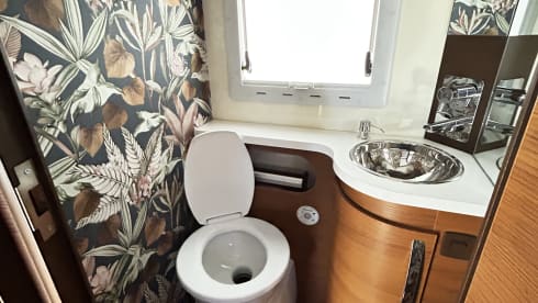 Ariël – Haus auf Rädern! Fiat Alcove mit 4 Sitzen aus dem Jahr 2013
