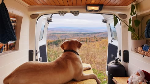 2-seater Nissan campervan from 2017