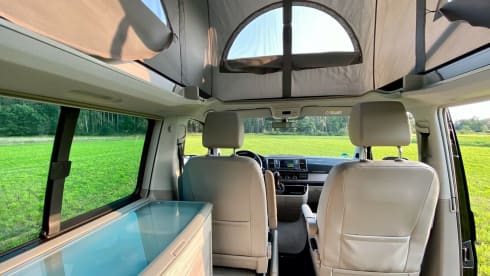 Bulli – VW 4Motion 200 PK T6 California Ocean Camper bus