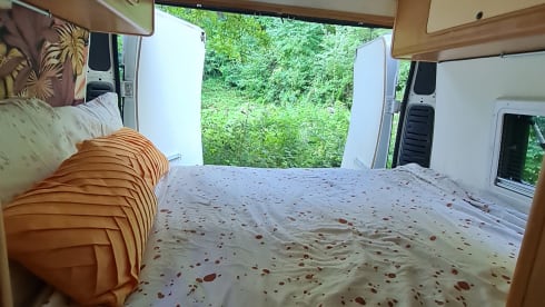 Chico – 4-Personen-Komplettbus mit Toilette, Schlafplätze für 2 Erwachsene + 1 Baby