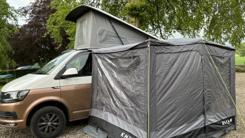 Goldie – Explore with Goldie - Up to 6 Berth VW T6 Campervan