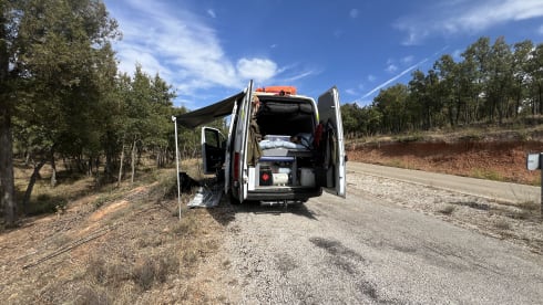 Connie2 – Just a lovely place to be.