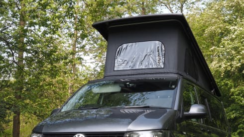 Willow – Willow Luxury VW campervan with everything included 