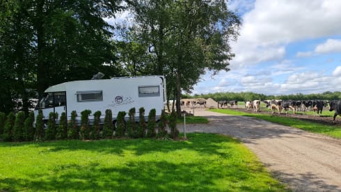 Buurtje – 5p Dethleffs integrated from 1997