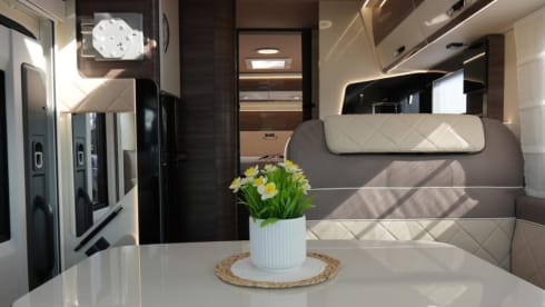 DELPORTE CYCLING – 5p McLouis CARAT 879 from 2025