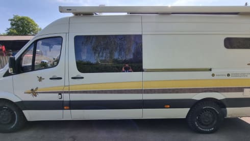 Buzz – 4 berth Mercedes LWB Sprinter - Epic Adventure Van