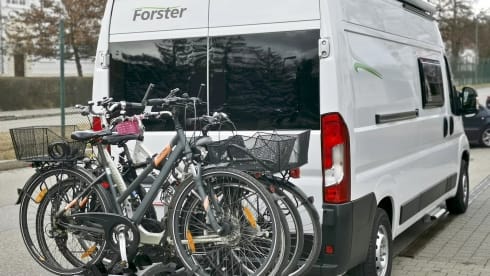 Forster V599VB – Forster V599VB