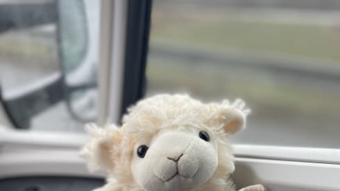 De Bus Mala – 4p Bavaria semi-integrated uit 2025