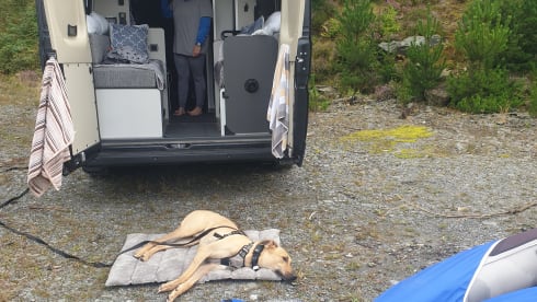 Arturo – 2 berth Peugeot boxer Asphalt from 2021
