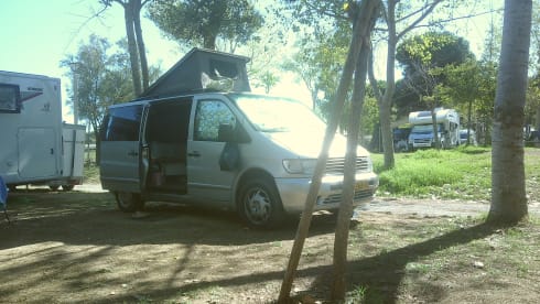 Danny de Vito – Mercedes-Benz Vito camper van 