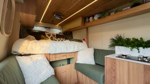 Big Lio – 2024 Ford Transit Converted