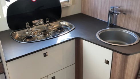 Mik – Bustner Delfin