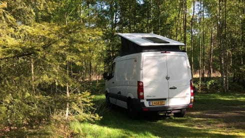 Noeste bus – 4p Volkswagen campervan uit 2015