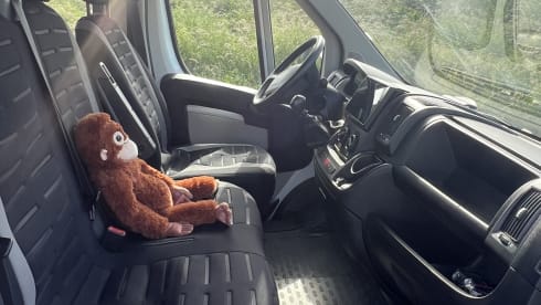 Baboon  – 2p Peugeot boxer camperbus 