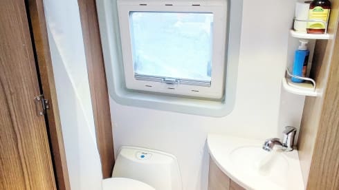  Swan – Nuovo Bravia 636 Swan
