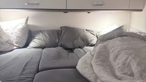 Fritzis – RO-AD Runner