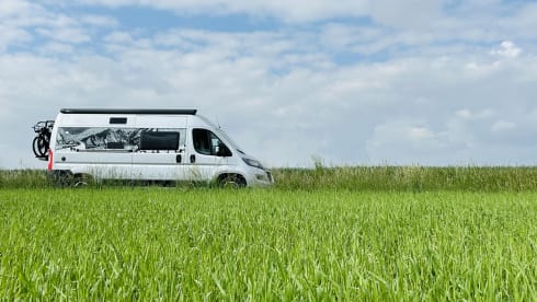 Jackie's hut – Mooie Peugot Camperbus, 150Pk