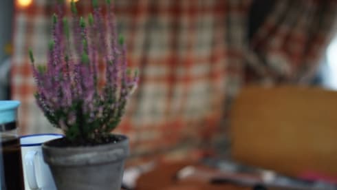 Grey  – super cosy  - automatic campervan. price  includes insurance !