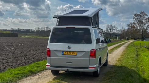 Luxury 5 person Volkswagen Camper