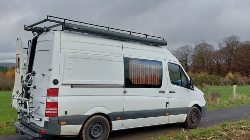 2-seater Mercedes-Benz bus from 2016