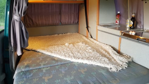 Greenhouse! – Go on an unforgettable road trip with this T4 Westfalia!