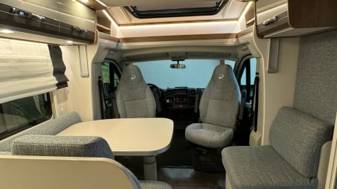 Luxury 4p Detleffs Trend from 2022