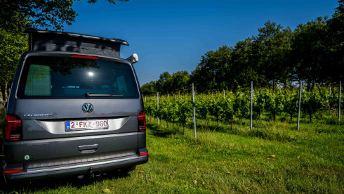 VW California 6.1 Ocean (2022) - 4 Persons - Automatic + Bicycle rack