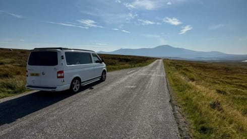 Transporter-Saurus-Rex – Transporter-Saurus-Rex... a 4 berth Volkswagen campervan from 2010